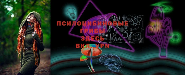 марки lsd Абаза