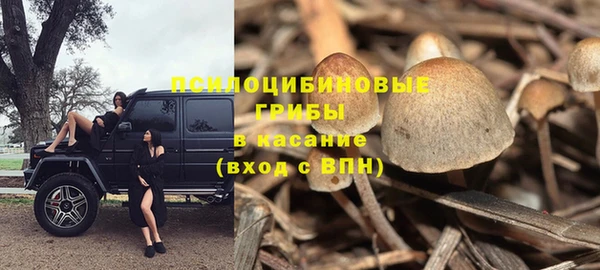 прущий лед Алексеевка