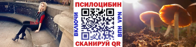 хочу наркоту  Архангельск  Псилоцибиновые грибы ЛСД 