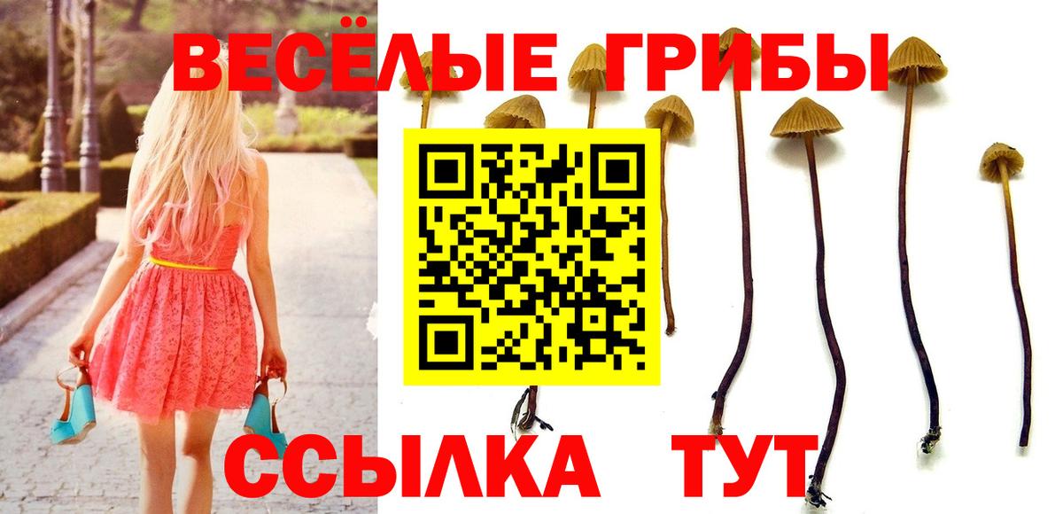 Архангельск  хочу   Галлюциногенные грибы Psilocybe  Вход с VPN  Псилоцибиновые грибы мухоморы 